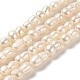 Natural Cultured Freshwater Pearl Beads Strands(PEAR-E016-006)-1