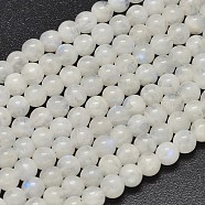 Round Grade A Natural Rainbow Moonstone Bead Strands, 5.5mm, Hole: 1mm, about 69~73pcs/strand, 15.5 inch(G-M304-06-5.5mm)