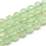 Natural Prehnite Beads Strands, Round, 4mm, Hole: 0.5mm, about 106pcs/strand, 15.7 inch(39.8cm)(G-S263-4mm-04)