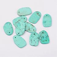 Natural Howlite Pendants, Dyed, Nuggets, Turquoise, 20~21x12~14x1~3mm, Hole: 1mm(TURQ-G929-A04)