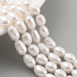 Natural Cultured Freshwater Pearl Beads Strands, Rice, Grade 2A, White, 7~8mm, Hole: 0.6mm, about 21~22pcs/strand, 6.89''~7.09''(17.5~18cm)(PEAR-P062-10C)