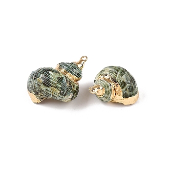 Natural Sea Shell Pendants, Shell Shaped Charms with Golden Tone Iron Loops, Medium Sea Green, 20~32.5x25~40x16~25mm, Hole: 1.4~2mm