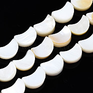 Natural Freshwater Shell Beads Strands, Moon, 8x5~6x2~3mm, Hole: 0.9mm, about 44pcs/strand, 13.78 inch(35cm)(X-SHEL-N026-151)