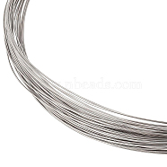 Titanium Steel Wire, Round, Stainless Steel Color, 24 Gauge, 0.5mm, about 65.62 Feet(20m)/Bundle(TWIR-WH0002-20A)