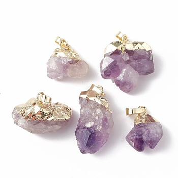 Rough Raw Natural Amethyst Pendants, Nuggets Charms, with Brass Snap on Bails, Light Gold, 21~33x14~28x11~19mm, Hole: 7x5mm