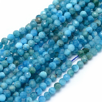 Natural Apatite Beads Strands, Faceted, Round, 2mm, Hole: 0.5mm, about 150pcs/strand, 15.35 inch(39cm)