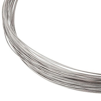 Titanium Steel Wire, Round, Stainless Steel Color, 24 Gauge, 0.5mm, about 65.62 Feet(20m)/Bundle