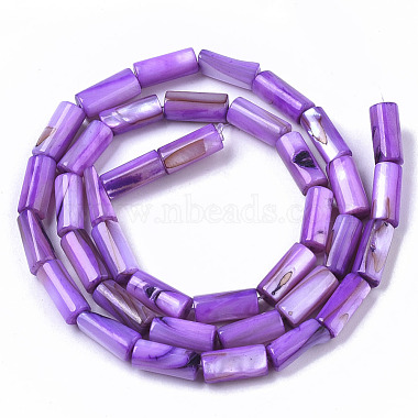 Natural Freshwater Shell Beads(SHEL-R047-01C)-2