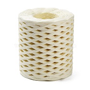 Raffia Ribbon, Packing Paper String, Raffia Twine Paper Cords for Gift Wrapping and Weaving, PapayaWhip, 3~4mm, about 218.72 Yards(200m)/Roll(SENE-PW0003-104K)