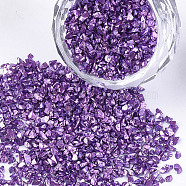 Plated Glass Seed Beads, For Nail Art Decoration Accessories, No Hole/Undrilled, Chips, Blue Violet, 2~7x1~5x0.5~2mm, about 450g/bag(MRMJ-S034-04G)