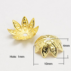 Iron Bead Caps, Golden, 10x4mm(IFIN-D030-10x4mm-G)