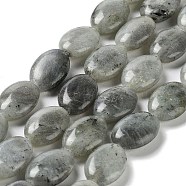 Natural Labradorite Beads Strands, Flat Oval, 17.5~18x12.5~13x6mm, Hole: 1.2mm, about 22pcs/strand, 15.55''(39.5cm)(X-G-L164-A-34)