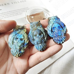 Natural Labradorite Carved Figurines Statues for Home Office Desktop Decoration, Skull, 40mm(PW-WG11844-05)