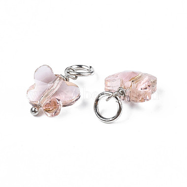 Faceted Transparent Glass Charms(GLAA-T024-06K)-3
