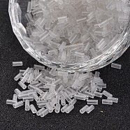 Glass Bugle Beads, Transparent Colours, Clear, 4~4.5x2mm, Hole: 1mm, about 450g/bag, 14000pcs/bag(SEED-R011-01)