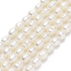 Natural Cultured Freshwater Pearl Beads Strands, Rice, Linen, 5~7x4~4.5mm, Hole: 0.6mm, about 62~66pcs/strand, 13.78''(35cm)(PEAR-J006-14B-01)