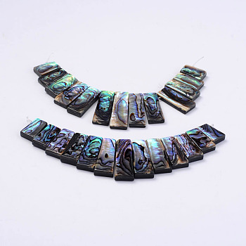 Rectangle Natural Abalone Shell/Paua ShellGraduated Beads Strands, 14.5~31x5~10x3~4mm, Hole: 1mm, about 13pcs/strand, 4.5 inch
