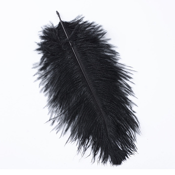 Ostrich Feather Costume Accessories, Dyed, Black, 25~30cm