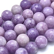 Natural Lepidolite/Purple Mica Stone Beads Strands, Round, 9.5~10mm, Hole: 0.8mm, about 40pcs/strand, 14.96 inch(38cm)(G-M353-A01-10mm)