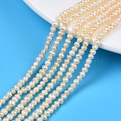 Natural Cultured Freshwater Pearl Beads Strands, Potato, Seashell Color, 3.5~4x3.26~3.86mm, Hole: 0.7mm, about 89pcs/strand, 13.58 inch(34.5cm)(PEAR-N013-03B)