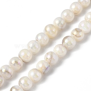 Natural Freshwater Shell Beads Strands, AB Color Plated, Round, Seashell Color, 6.5mm, Hole: 1mm, about 64pcs/strand, 15.35 inch(39cm)(SHEL-C003-10)