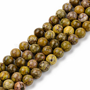 Natural American Turquoise Beads Strands, Dyed & Heated, Round, Light Khaki, 8mm, Hole: 1mm, about 45~46pcs/strand, 15-1/8 inch(38.5cm)(G-S369-001C-B03)