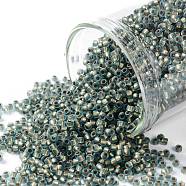 TOHO Round Seed Beads, Japanese Seed Beads, (995FM) Bronze Lined Aqua Matte, 15/0, 1.5mm, Hole: 0.7mm,  about 3000pcs/10g(X-SEED-TR15-0995FM)