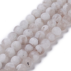 Natural Blue Moonstone Beads Strands, Frosted, Round, 10mm, Hole: 1.2mm, about 40pcs/strand, 15.35''(39cm)(G-B021-01C)