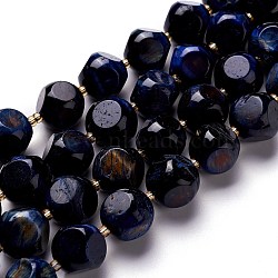 Natural Blue Tiger Eye Beads Strand, with Seed Beads, Six Sided Celestial Dice, 13.5~14x13.5~14x13.5~14mm, Hole: 0.5mm, about 13pcs/strand, 8.17''(20.75cm)(G-M367-31A)