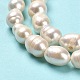 Natural Cultured Freshwater Pearl Beads Strands(PEAR-E016-064)-4