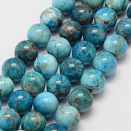 Natural Apatite Beads Strands, Round, 12mm, Hole: 1mm, about 34pcs/strand, 15.7 inch(G-D856-01-12mm)