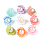 Shell Shape Opaque Resin & Imitation Pearl Cabochons, with Glitter Powder, Mixed Color, 19~20x18x19~20mm(CRES-T025-46M)