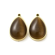 304 Stainless Steel Pendants, with Cat Eye, Real 14K Gold Plated, Teardrop, Coconut Brown, 22x14x7.4mm, Hole: 1.4mm(STAS-L022-045G-06)