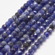 Natural Sodalite Bead Strands, Faceted, Round, 3mm, Hole: 0.5mm, about 127pcs/strand, 15.2 inch(X-G-P279-58-3mm)