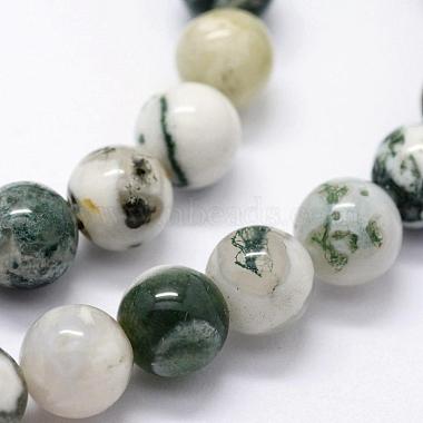 Natural Tree Agate Beads Strands(G-I199-03-8mm)-6