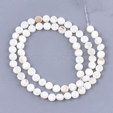 Freshwater Shell Beads Strands(X-SHEL-S276-15A)-2
