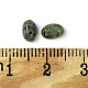 Natural African Turquoise(Jasper) Cabochons(G-A094-01A-03)-3