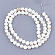 Freshwater Shell Beads Strands(X-SHEL-S276-15A)-2