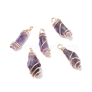 Rough Natural Amethyst Pendants, with Copper Wire Wrapped, Nuggets, Real 18K Gold Plated, 21~30x9~12x7~10mm, Hole: 2.5~3.1mm(PALLOY-JF01443-01)