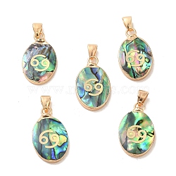 Constellation Natural Paua Shell Pendants, Golden Tone Brass Oval Charms, Cancer, 22x13x3~3.5mm, Hole: 6x3mm(KK-P265-01G-02)