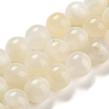 Natural White Moonstone Beads Strands, Grade AB, Round, White, 8mm, Hole: 1mm, about 49pcs/strand.