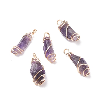 Rough Natural Amethyst Pendants, with Copper Wire Wrapped, Nuggets, Real 18K Gold Plated, 21~30x9~12x7~10mm, Hole: 2.5~3.1mm