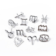 12Pcs 12 Style Alloy Charms Set, Twelve Constellations Charm, Platinum, 11~15x8.5~13.5x2.5~6mm, Hole: 2mm, 1pc/style(FIND-A026-01P)