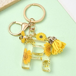 Resin & Alloy Enamel Keychain, with Alloy Clasp and Iron Rings, 60mm(X1-KEYC-YW00134-18)