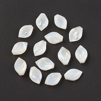 Natural Sea Shell Beads, Top Drilled Beads, Leaf, 13x8.5x3mm, Hole: 1mm