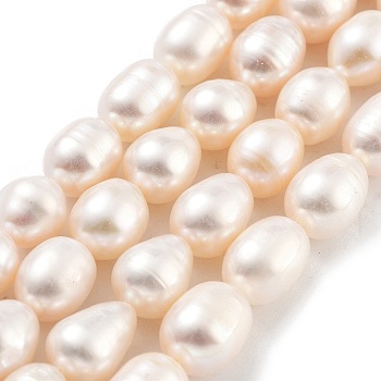 Natural Cultured Freshwater Pearl Beads Strands, Grade 3A, Rice, PeachPuff, 8~9mm, Hole: 0.7mm, about 18pcs/strand, 6.69''(17cm)