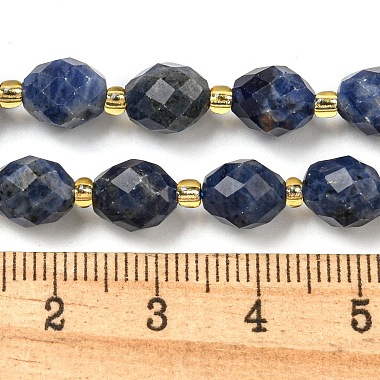 Natural Sodalite Beads Strands(G-N342-37)-5