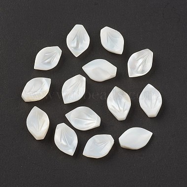13mm Leaf Other Sea Shell Beads