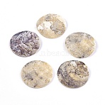 Natural Akoya Shell Pendants, Flat Round, 35x1.2~2mm, Hole: 1.4~1.5mm(BSHE-I008-03)