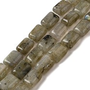 Natural Labradorite Beads Strands, Rectangle, 8~9x6.5~7x4mm, Hole: 0.8mm, about 45pcs/strand, 15.16 inch(38.5cm)(G-G085-A25-01)